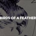 Dámsky snowboard CAPiTA Birds Of A Feather white 1211119 13