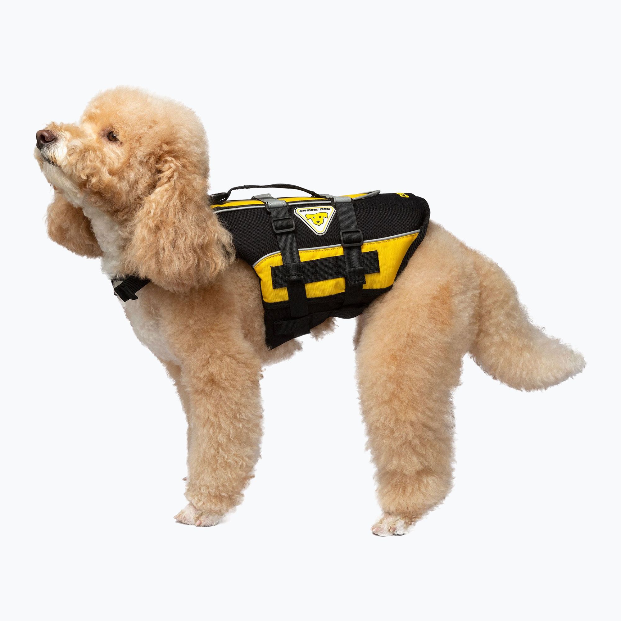 Záchranná vesta pre psov Cressi čierna/žltá (Dog Life Jacket LB5000)