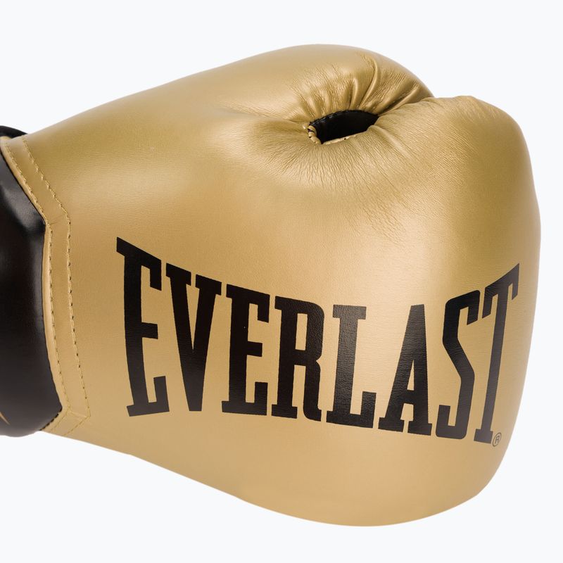 Zlaté boxerské rukavice EVERLAST Pro Style Elite 2 EV2500 5