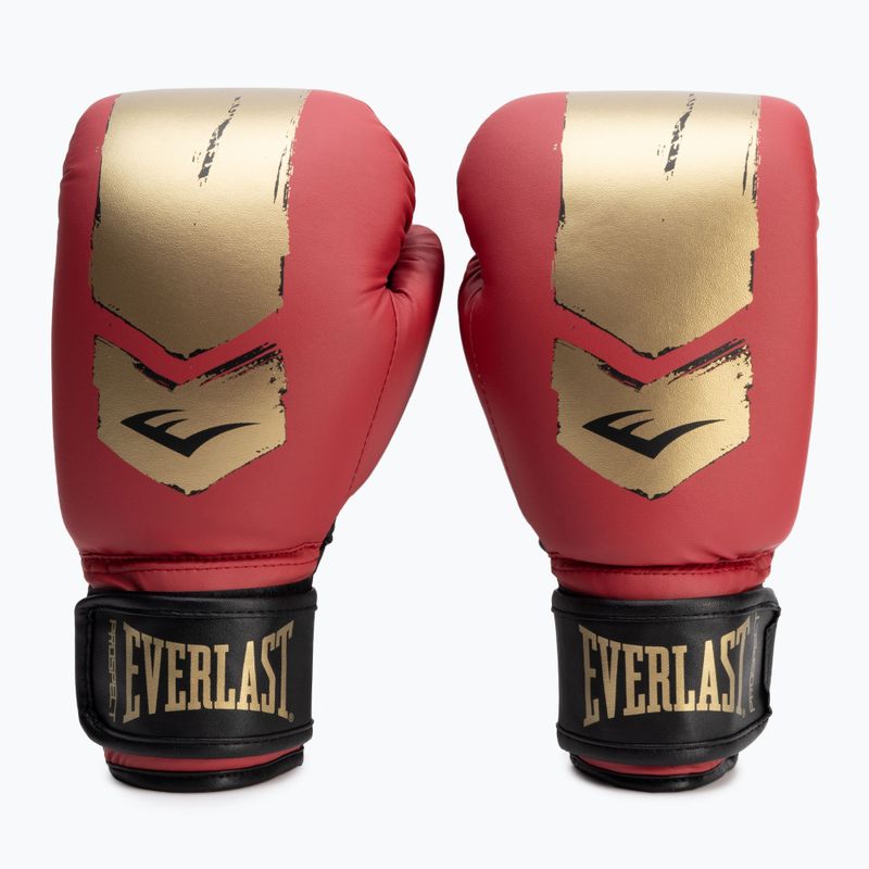 Boxovacia sada Everlast Prospect 2 Heavy Bag red/gold 6