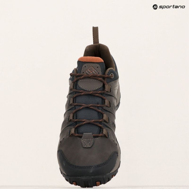 Pánske trekové topánky Jack Wolfskin Dromoventure Wt Texapore Mid cold coffe 17