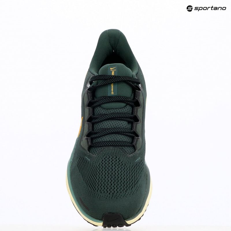 Pánske bežecké topánky Nike Pegasus 41 vintage green / bicoastal / black / infinite gold 9