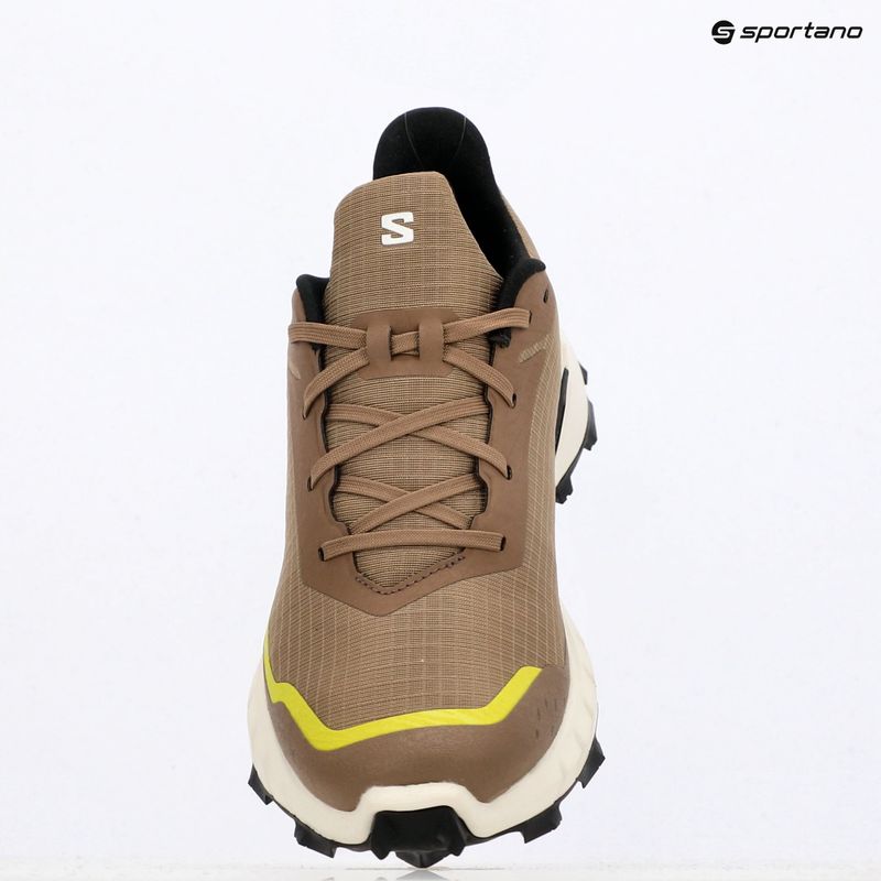 Pánska bežecká obuv Salomon Alphacross 5 caribou/canteen/ sulphr 18