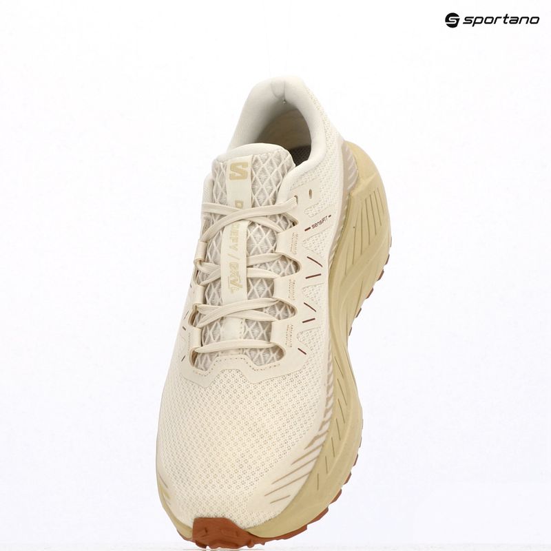 Pánske bežecké topánky Salomon Drx Defy GRVL vanilla ice/green haze/white pepper 14