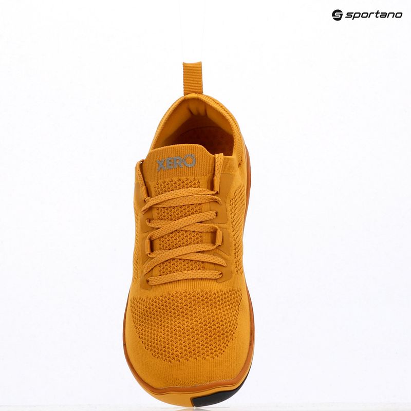 Pánske barefoot topánky Xero Shoes Nexus Knit gold 9