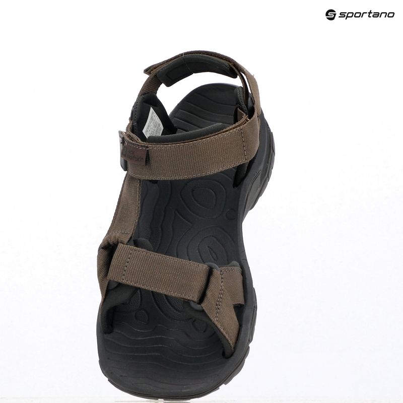 Pánske sandále Jack Wolfskin Lakewood Ride cold coffee 12