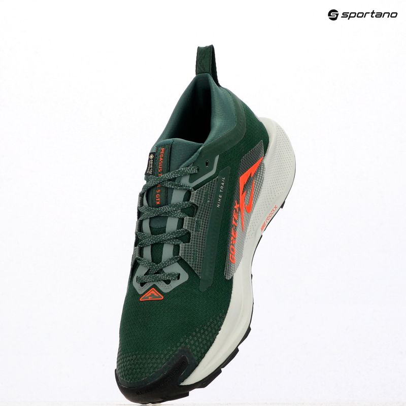 Pánske bežecké topánky Nike Pegasus Trail 5 GORE-TEX fir/bright crimson/clay green 15