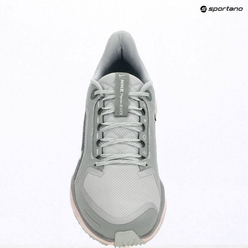 Pánske bežecké topánky Nike Pegasus 41 GTX light pumice/pure platinum/silt red/metal silver 13