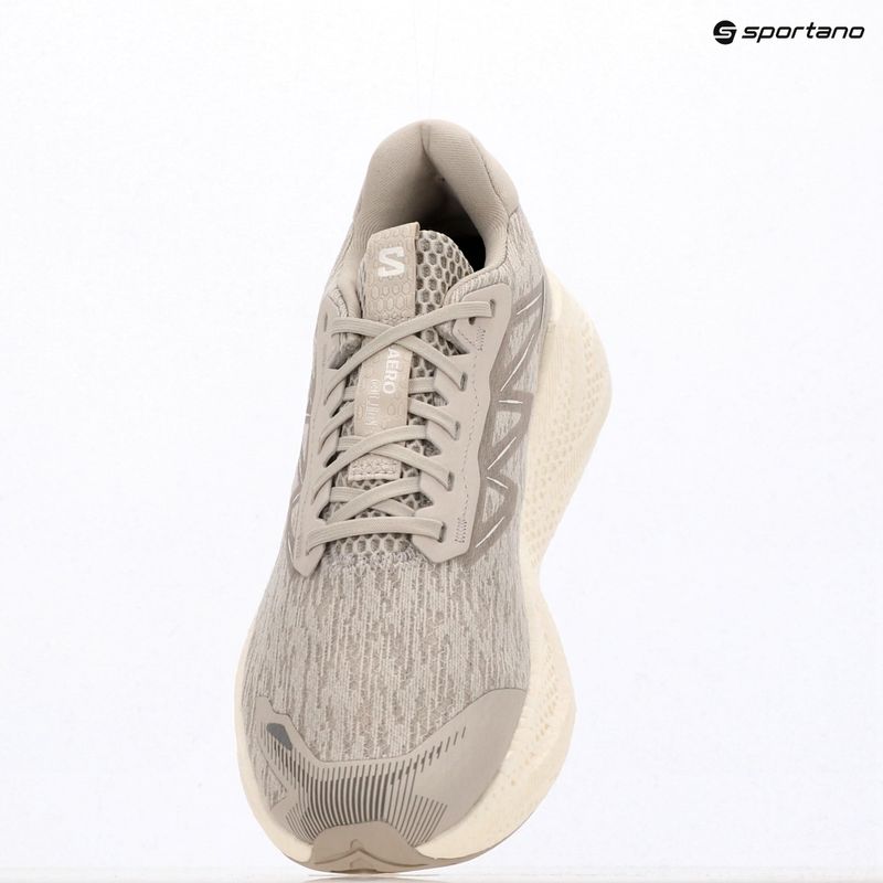 Pánske bežecké topánky Salomon Aero Glide 4 silver/silver/white 7