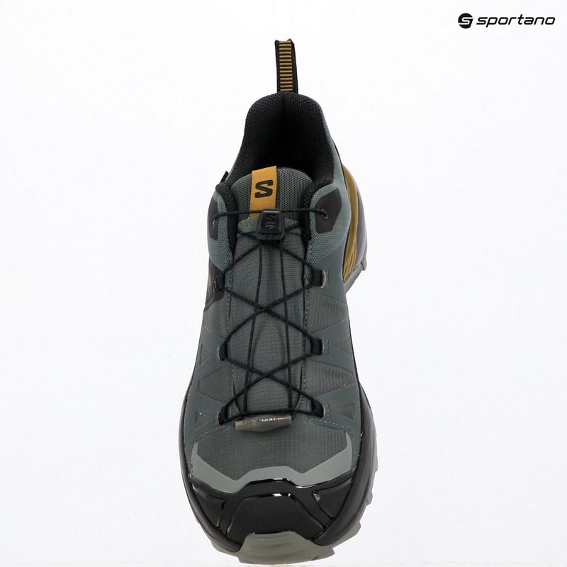 Pánske trekingové topánky Salomon X Ultra 360 GTX urban chic/black 10