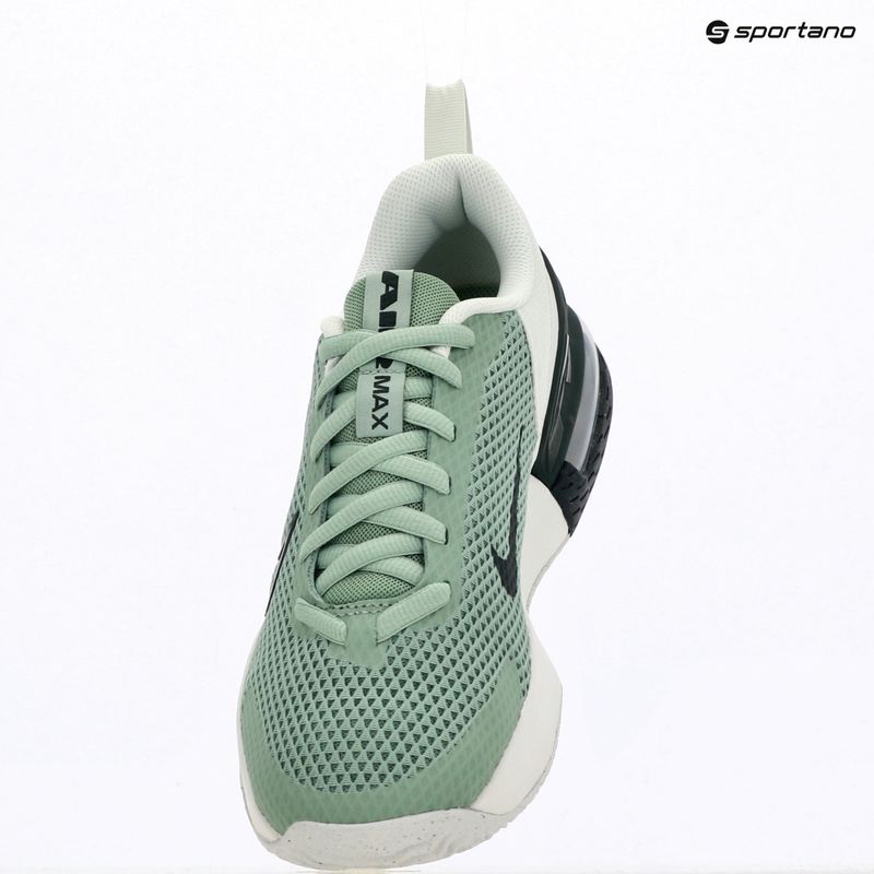 Pánske tréningové topánky Nike Air Max Alpha Trainer 6 steam/spruce aura/off white/black spruce 13