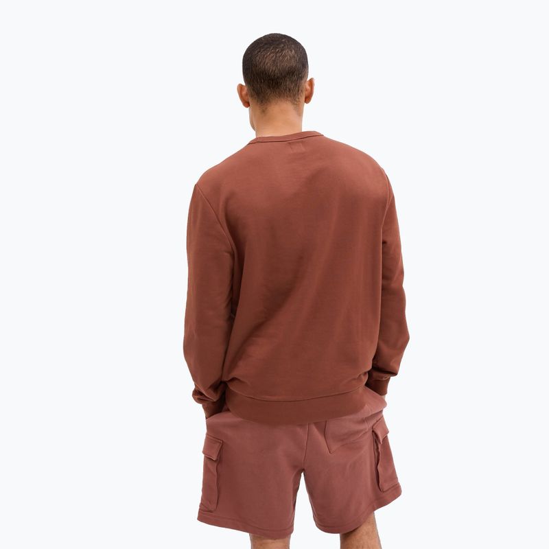 Pánska mikina GAP Logo Crewneck burnt russet 2