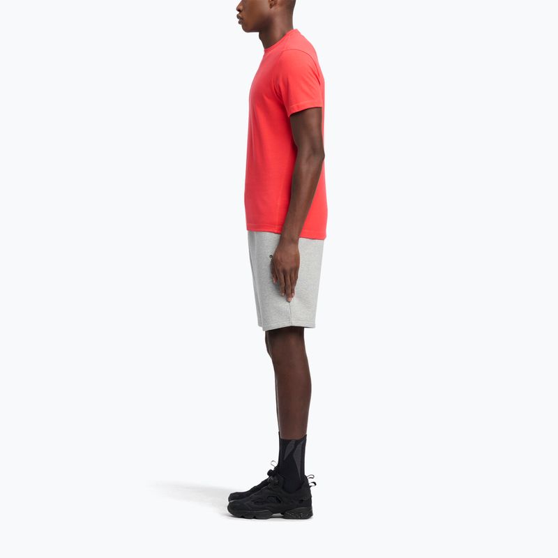 Pánske tréningové šortky Reebok Identity Small Logo Fleece medium grey heather/vector red 2