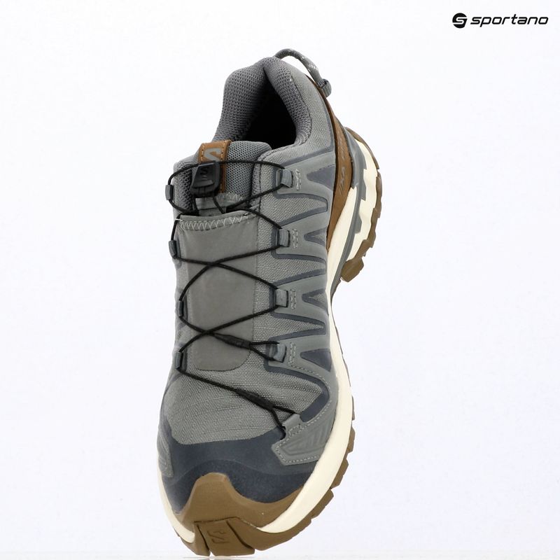 Pánske bežecké topánky Salomon XA Pro 3D V9 GTX Lifelong sedona sage/coyote brown 16