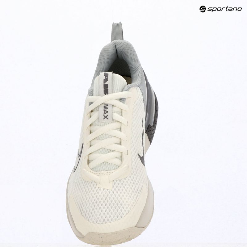 Pánske tréningové topánky Nike Air Max Alpha Trainer 6 sail/light smoke grey/phantom/pencil point 5
