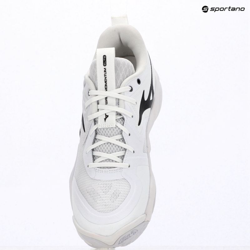 Volejbalové topánky Mizuno Wave Momentum Elite white/metallic gray/black 7