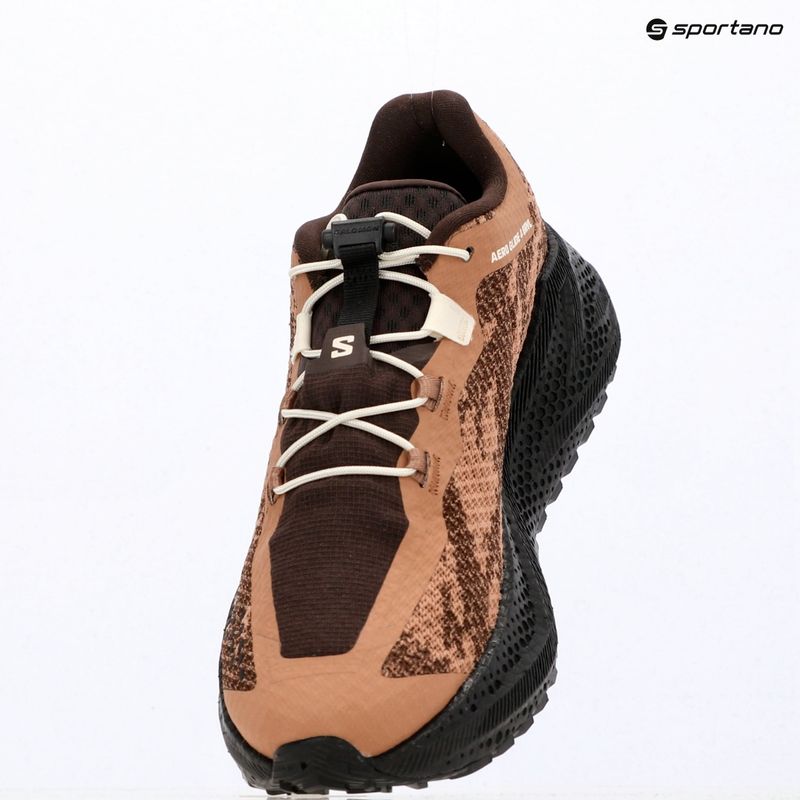 Pánske bežecké topánky Salomon Aero Glide 4 GRVL burro/black 16