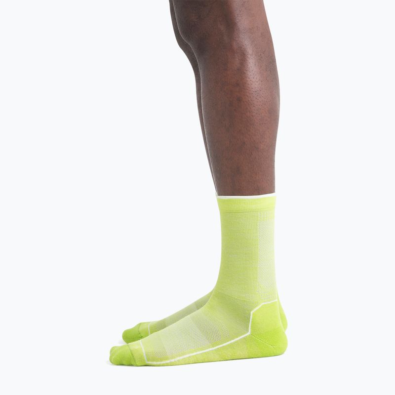 Pánske trekingové ponožky Icebreaker Anatomica Cool-Lite 3Q Crew hyper/snow 2