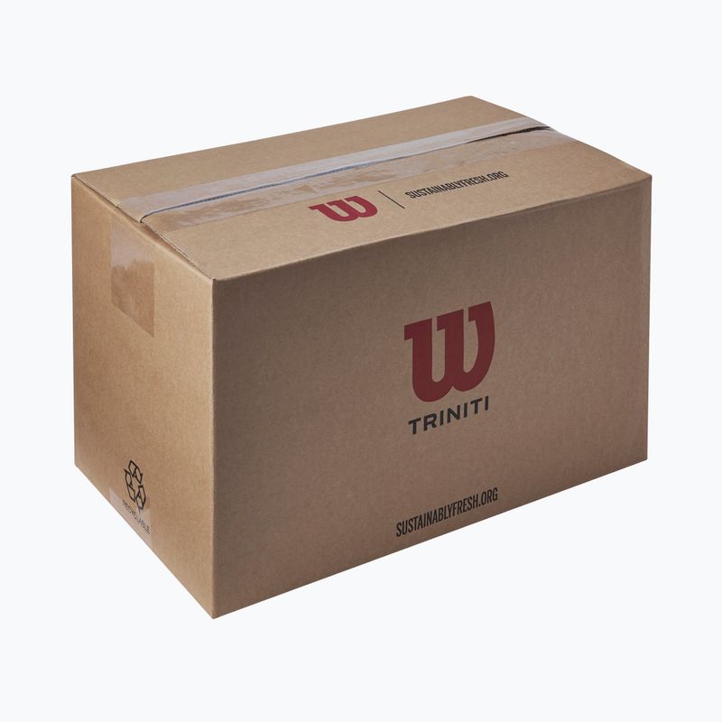 Tenisové loptičky Wilson Trinity Club 72 ks yellow 4