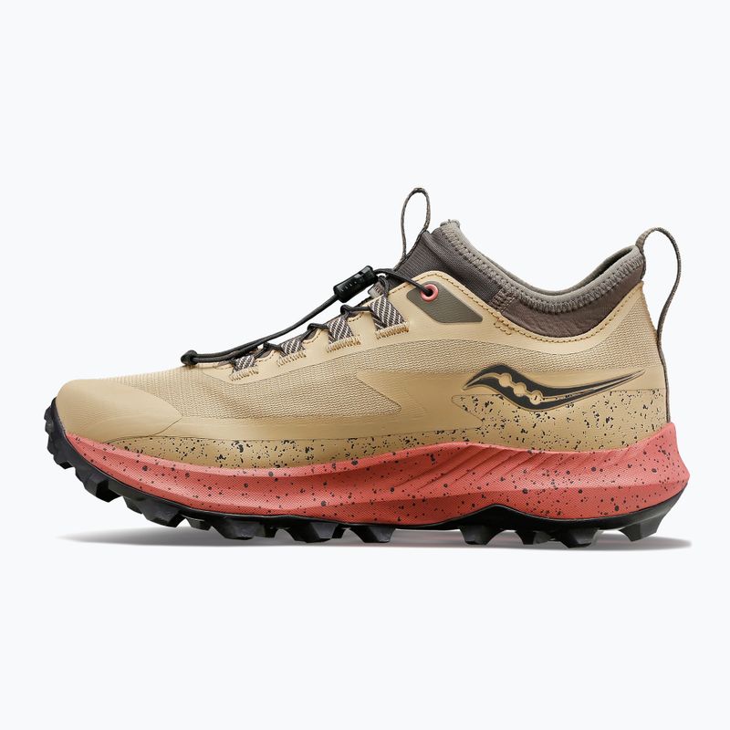 Dámska bežecká obuv Saucony Peregrine 13 ST S10840-25 12