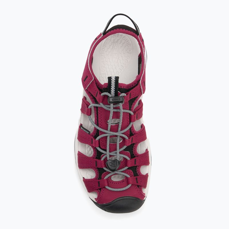 KEEN Astoria West dámske sandále beaujolais/star white 5