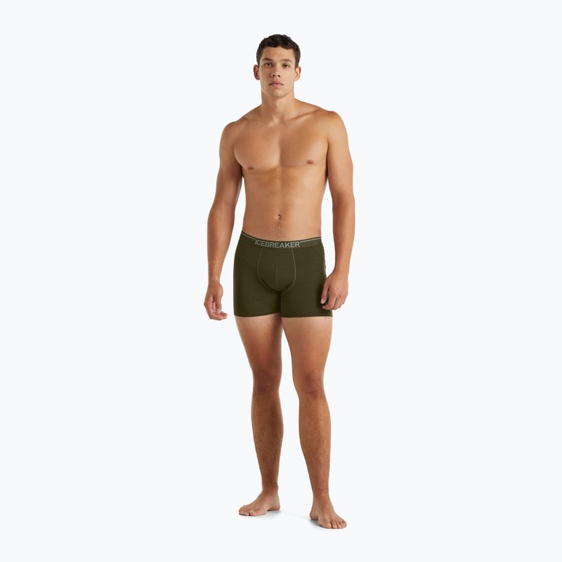 Pánske termo boxerky Icebreaker Anatomica Loden 103029 4