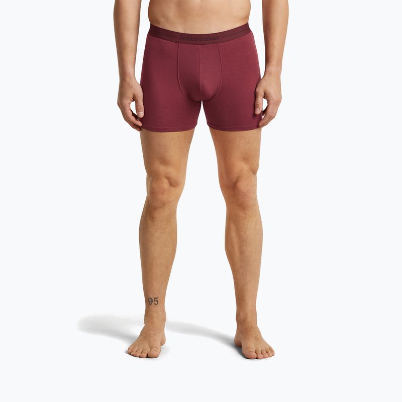 Pánske termo boxerky icebreaker Anatomica Boxers port 2