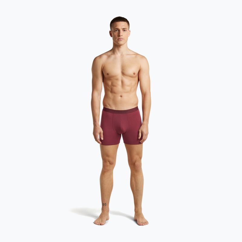 Pánske termo boxerky icebreaker Anatomica Boxers port 3