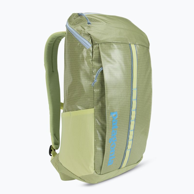 Turistický batoh Patagonia Black Hole Pack 25 l friend green 2