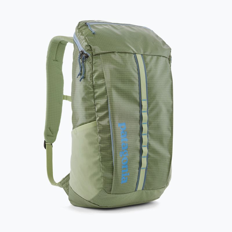Turistický batoh Patagonia Black Hole Pack 25 l friend green 6