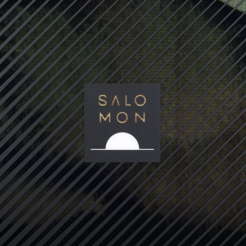 Pánsky snowboard Salomon Pulse čierny L47316 5