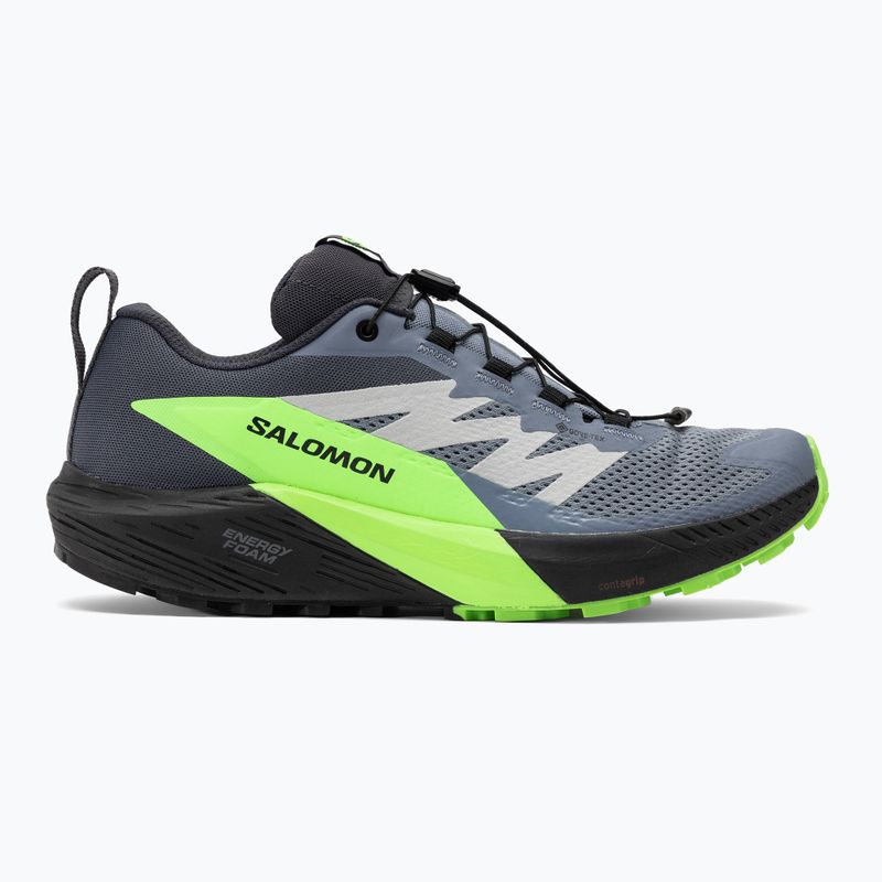 Pánska bežecká obuv Salomon Sense Ride 5 GTX flint stone/black/green gecko 2