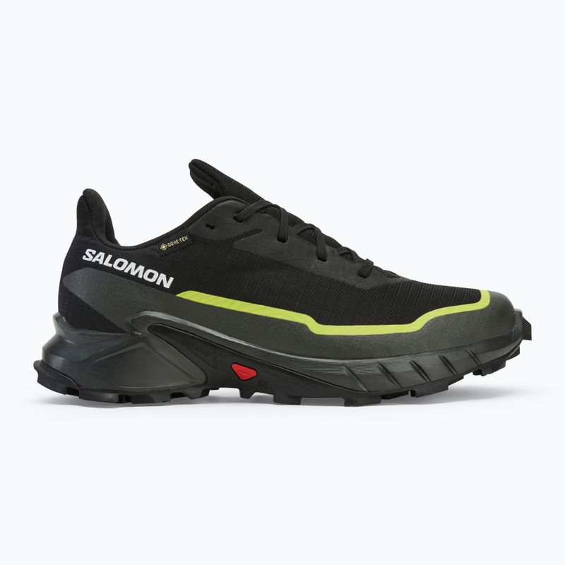 Pánska bežecká obuv Salomon Alphacross 5 GTX black/peat/sulphur spring 2