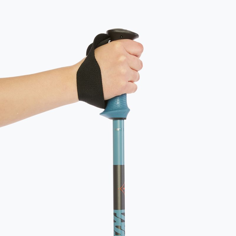 Lyžiarske palice Salomon Polar Pro copen blue 6