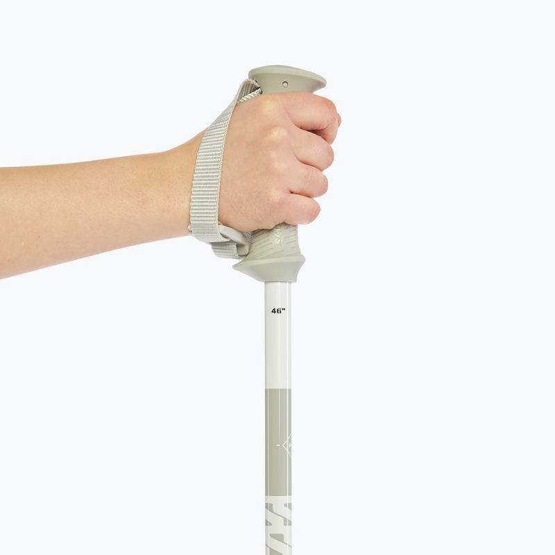 Lyžiarske palice Salomon Polar Access white 6