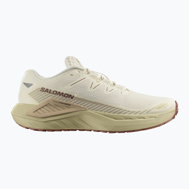 Pánske bežecké topánky Salomon Thundercross asphalt/sharkskin/spray 8