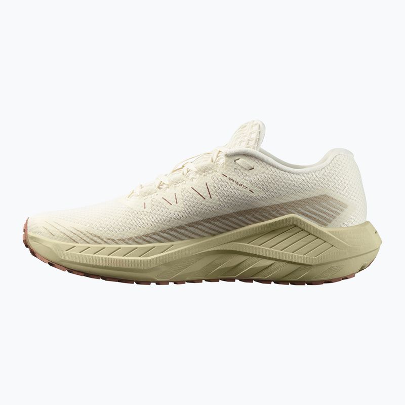 Pánske bežecké topánky Salomon Thundercross asphalt/sharkskin/spray 9