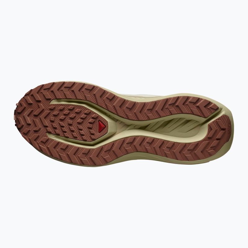 Pánske bežecké topánky Salomon Thundercross asphalt/sharkskin/spray 10