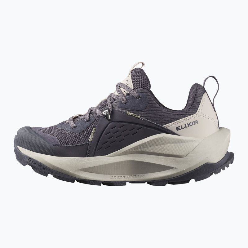 Dámske turistické topánky Salomon Elixir GTX 9 nine iron/silver cloud/sponge 10