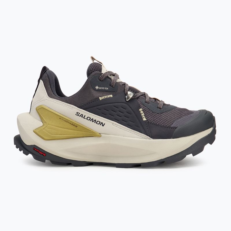 Dámske turistické topánky Salomon Elixir GTX 9 nine iron/silver cloud/sponge 2