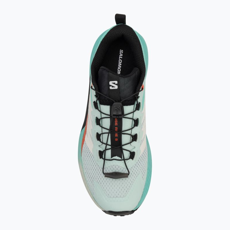 Dámske bežecké topánky Salomon Sense Ride 5 bay/black/cherry tomato 5