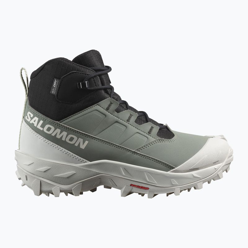 Dámske trekové topánky Salomon Crosstrak WP agave green/black/can ary green 9
