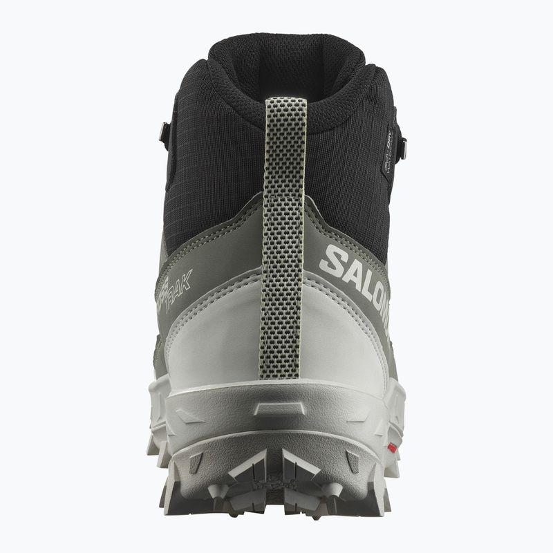 Dámske trekové topánky Salomon Crosstrak WP agave green/black/can ary green 11