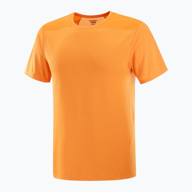Pánske tričko Salomon Outline Tee turmeric 4