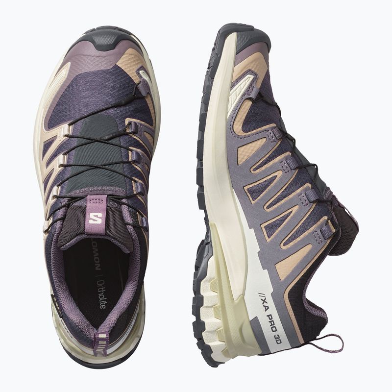 Dámske bežecké topánky Salomon XA Pro 3D V9 GTX nine iron/oxford tan 3