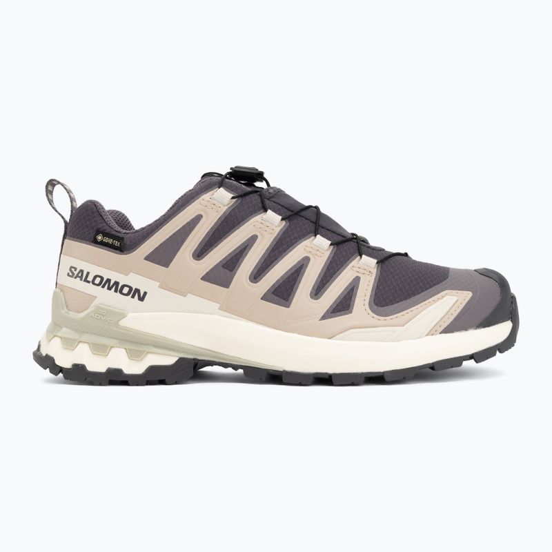 Dámske bežecké topánky Salomon XA Pro 3D V9 GTX nine iron/oxford tan 2