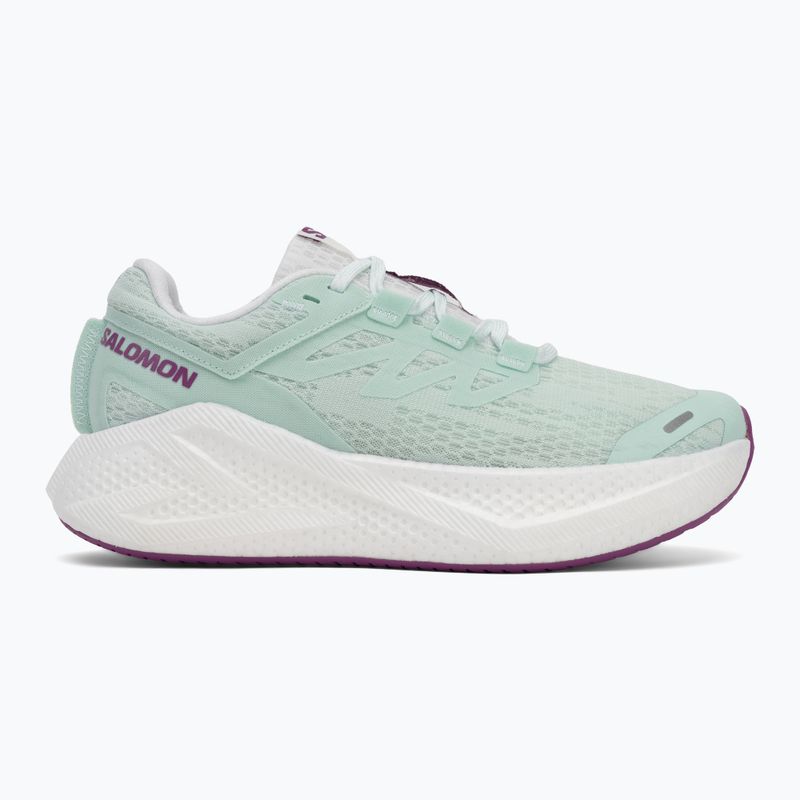 Dámske bežecké topánky Salomon Aero Glide 3 bay/white/wilowherb 2