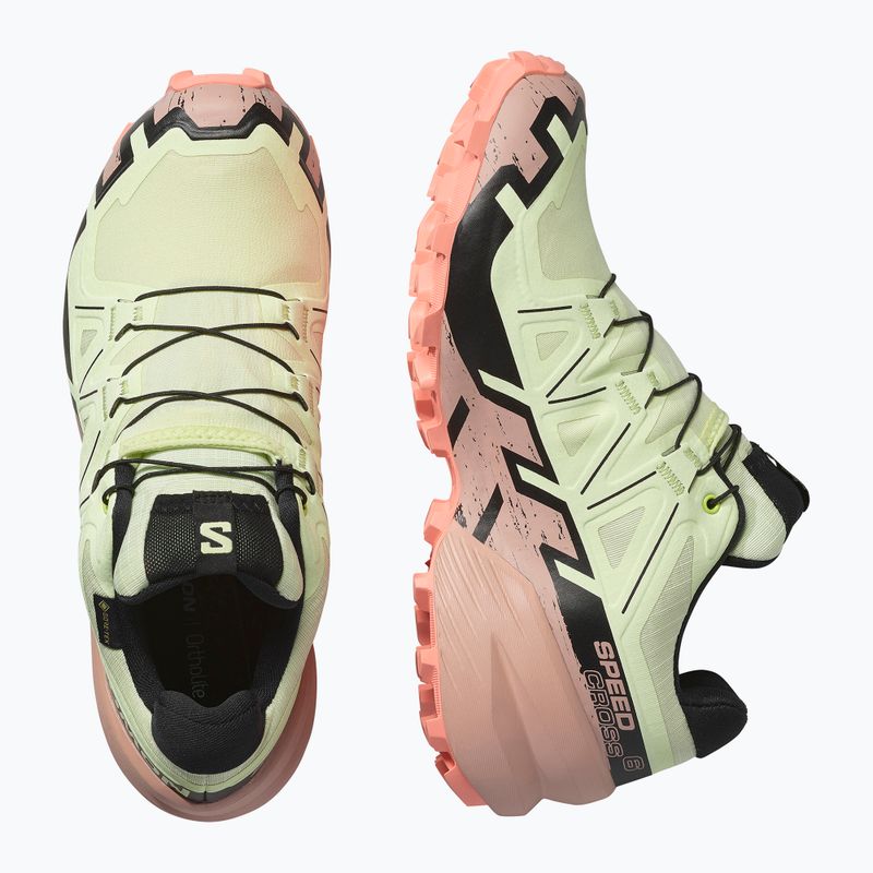 Salomon Speedcross 6 GTX dámska bežecká obuv lime cream/mahogany rose/black 6