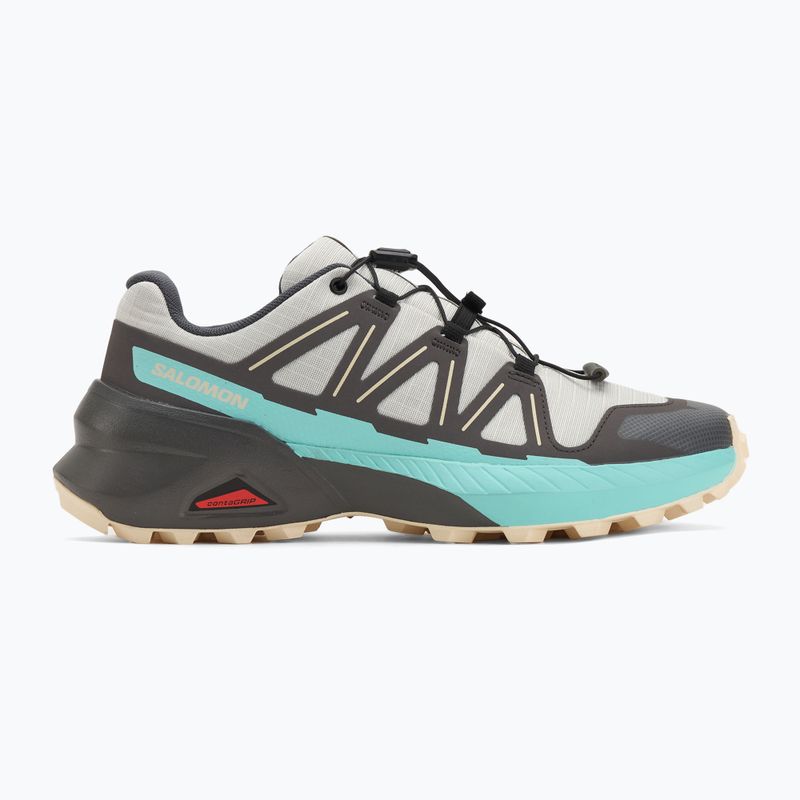 Dámske bežecké topánky Salomon Speedcross Peak icicle/castlerock/aruba blue 2