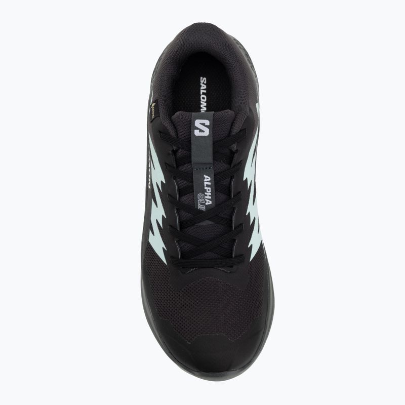 Dámske bežecké topánky Salomon Alphaglide GTX hantom/urban chic/waterfall 5